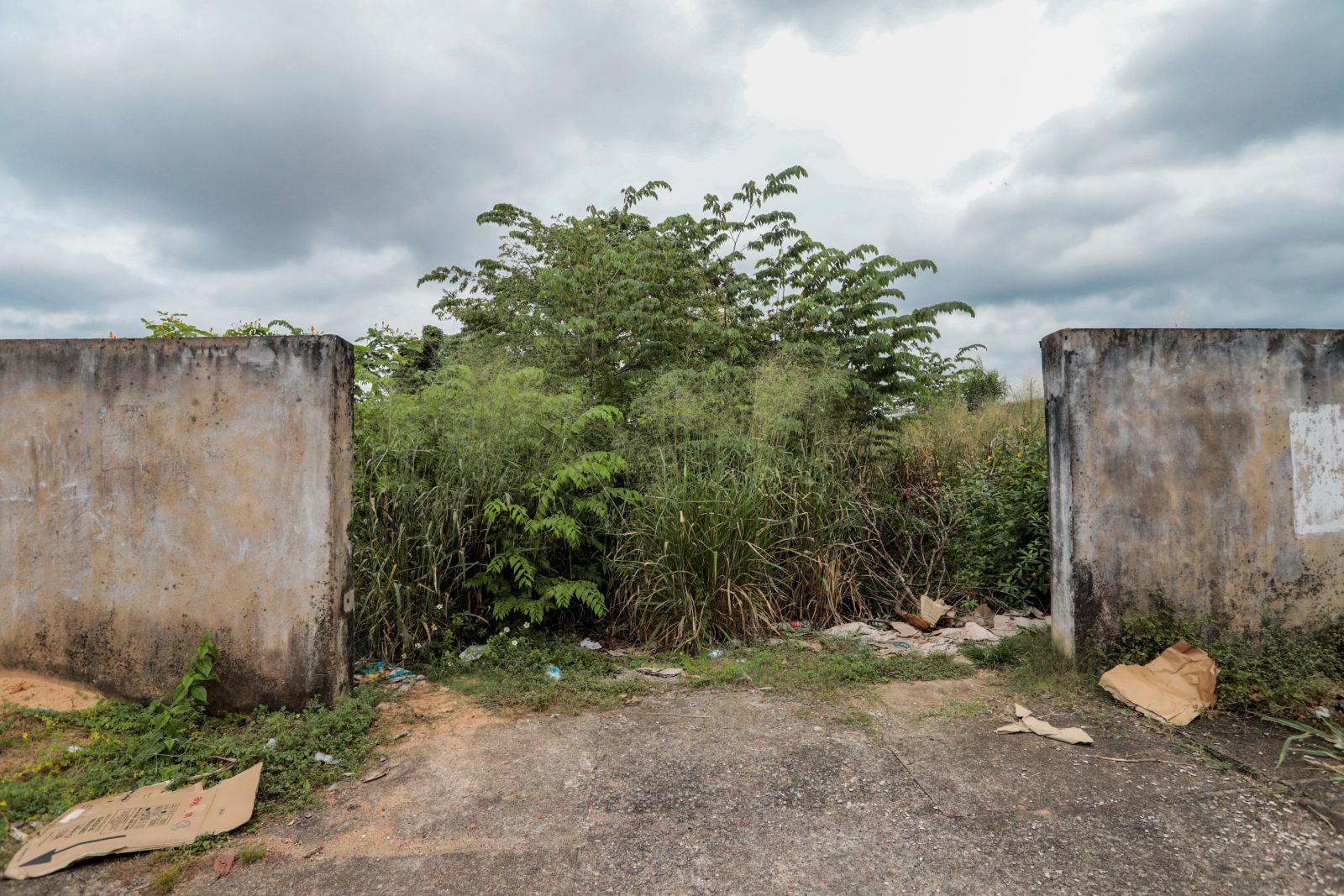 www.deixaeutefalar.com.br Departamento de Postura da Prefeitura segue com fiscalização de terrenos baldios