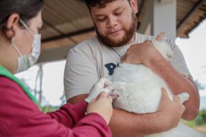 Prefeitura leva vacinação antirrábica à zona sul de Porto Velho neste sábado (20)