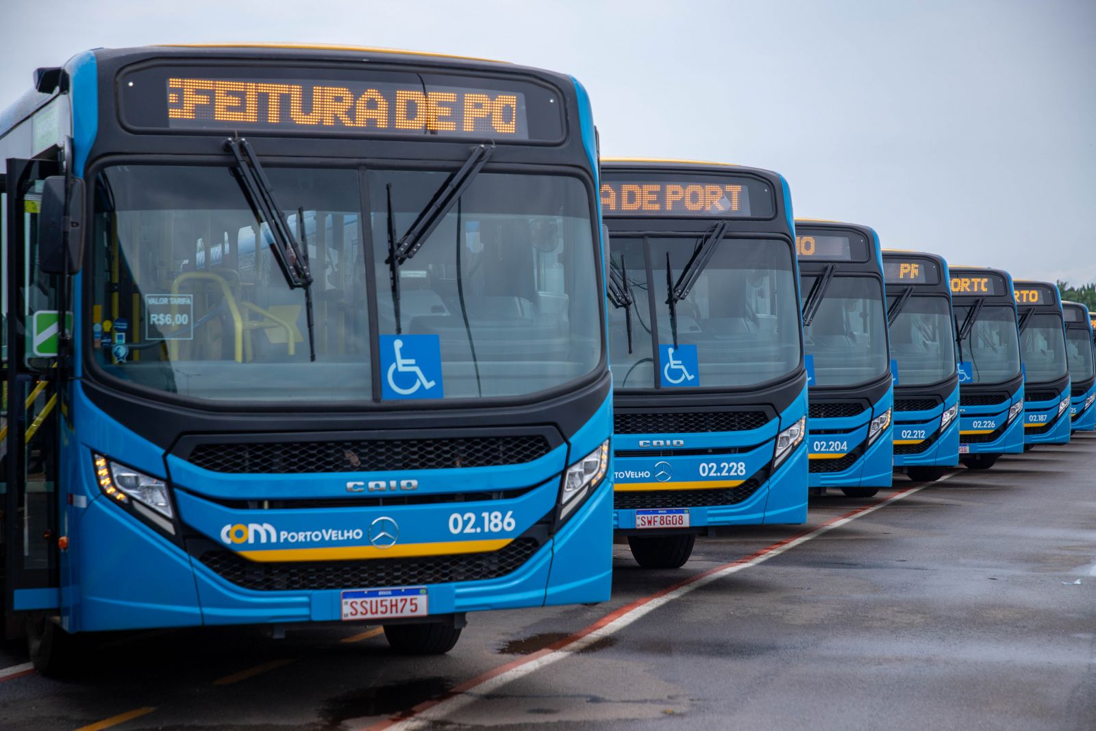 Transporte coletivo oferece à população qualidade e conforto de modernos veículos Transporte coletivo oferece à população qualidade e conforto de modernos veículos