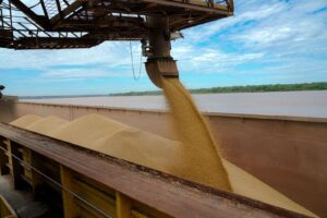 Safra recorde de 112 mil toneladas marca uma forte expansão do plantio de soja na capital
