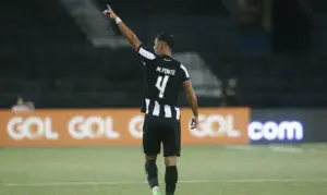 www.deixaeutefalar.com.br Mateo Ponte marca e Botafogo vence a primeira no Brasileiro