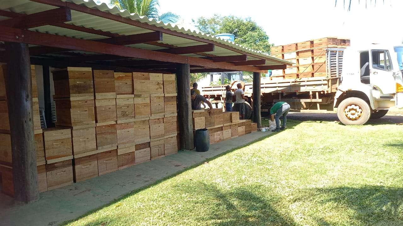 www.deixaeutefalar.com.br Dia Especial de Apicultura da Amazônia Ocidental acontece no próximo dia 11