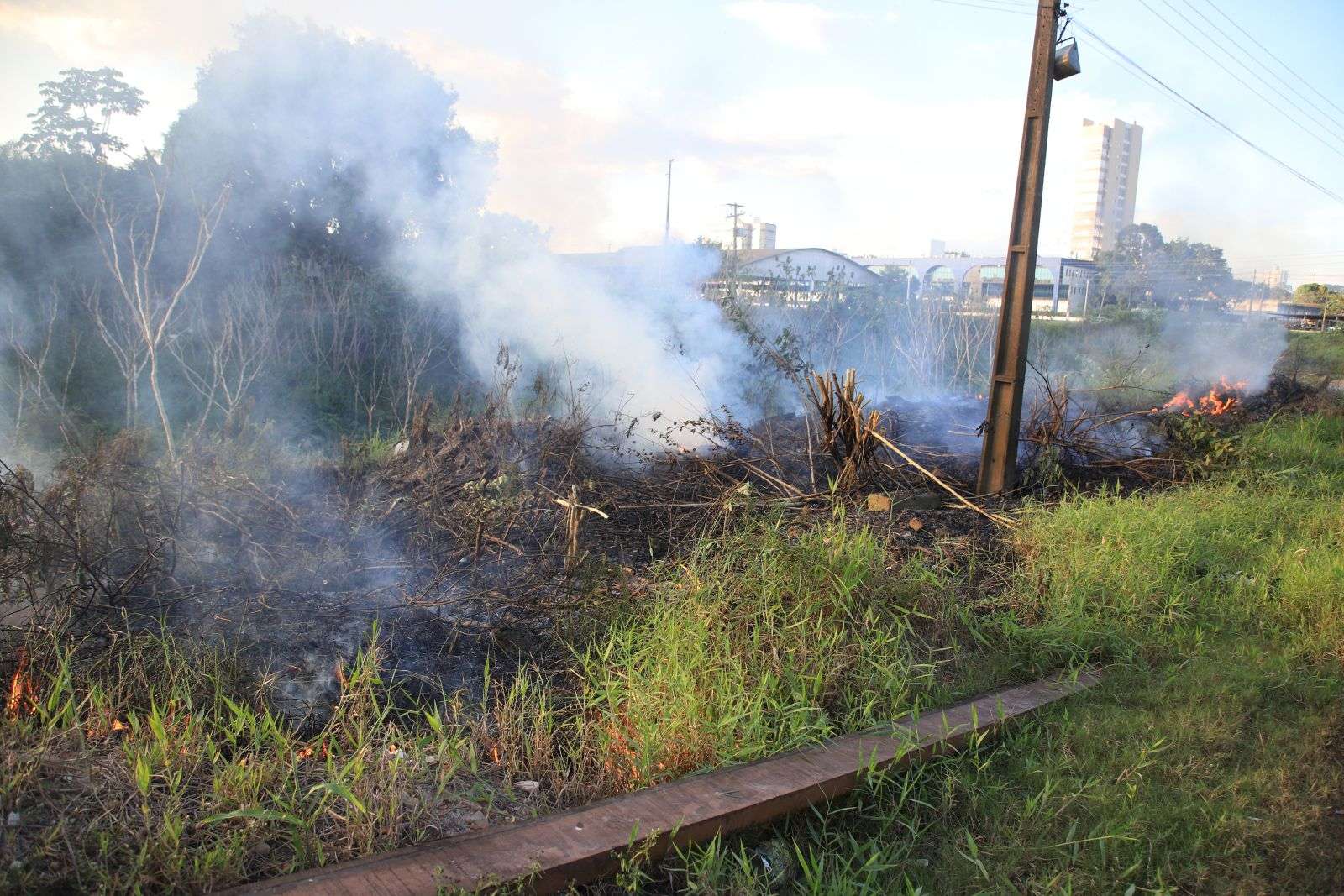 Saiba como denunciar queimadas em Porto Velho Saiba como denunciar queimadas em Porto Velho