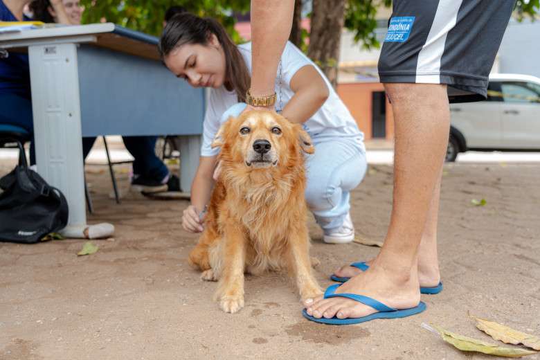 Após caso de raiva em morcego, Prefeitura executa ação de bloqueio com vacinação de animais domésticos Após caso de raiva em morcego, Prefeitura executa ação de bloqueio com vacinação de animais domésticos