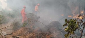 Alero aprova projetos que destinam mais de R$ 26 milhões para bombeiros combaterem queimadas