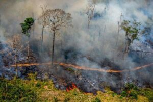 www.deixaeutefalar.com.br Como a inalação de fumaça pode ser mais perigosa do que o próprio fogo