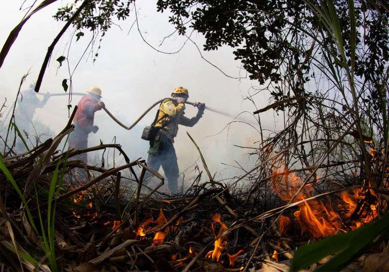 MP aciona municípios de RO e ACRE para garantir Plano de Prevenção e Controle de Queimadas