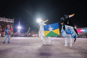 www.deixaeutefalar.com.br Boi-Bumbá Malhadinho Brilha e Conquista o Bicampeonato no Festival Duelo na Fronteira 2024