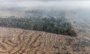 STF permite desapropriação de terra por incêndio ilegal e desmatamento