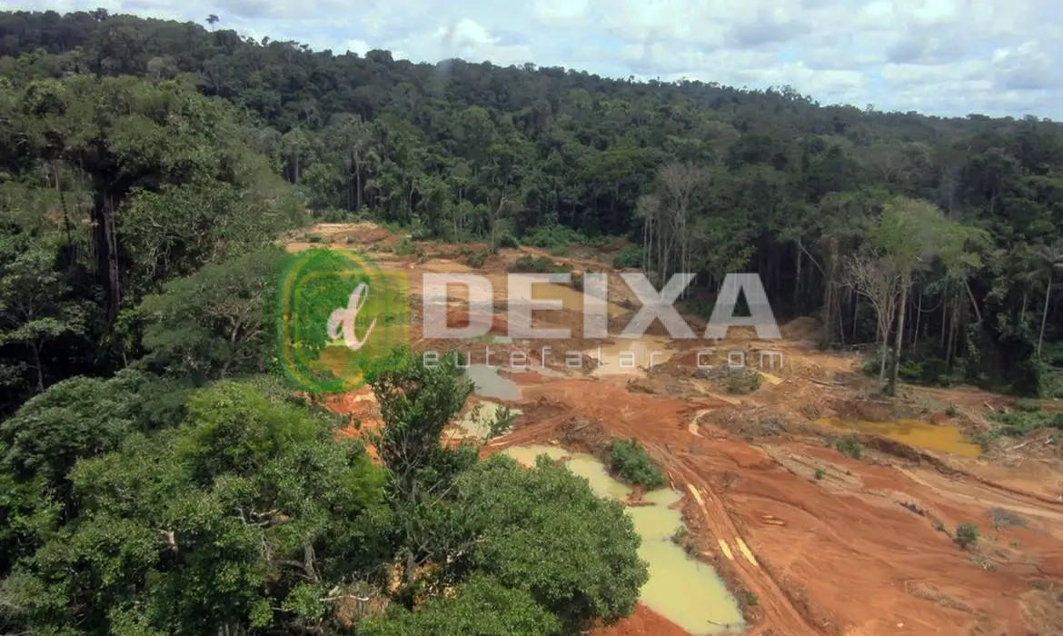 www.deixaeutefalar.com.br STF faz reunião em Porto Velho sobre consulta aos Cinta Larga sobre mineração na Terra Indígena Roosevelt