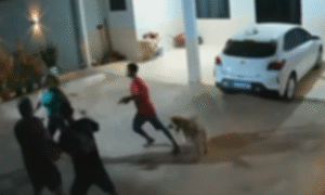 Casal é feito refém em assalto no bairro Embratel, em Porto Velho