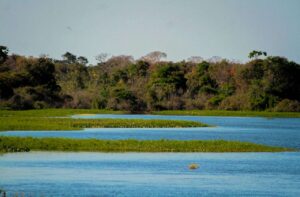 www.deixaeutefalar.com.br Rondônia impulsiona sua produção agropecuária enquanto se destaca na redução do desmatamento no Brasil