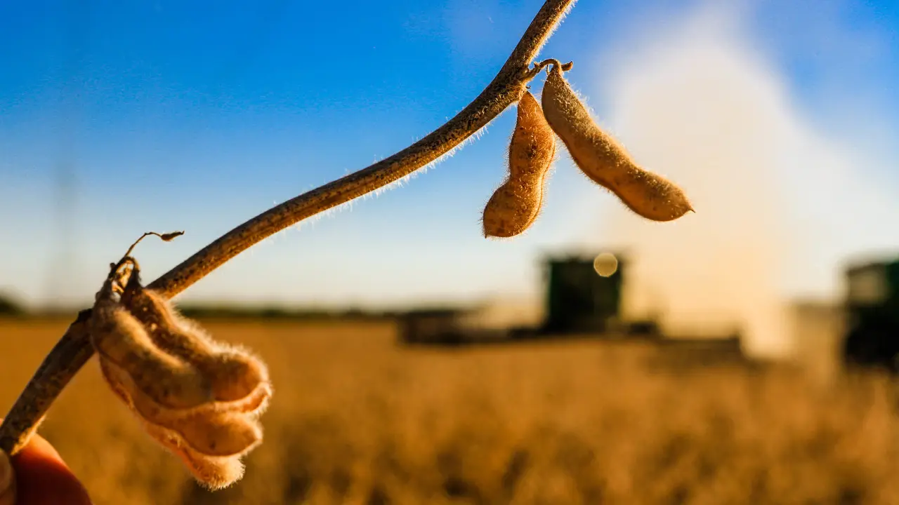 Centro-Oeste acelera com o agro e deve liderar crescimento no Brasil