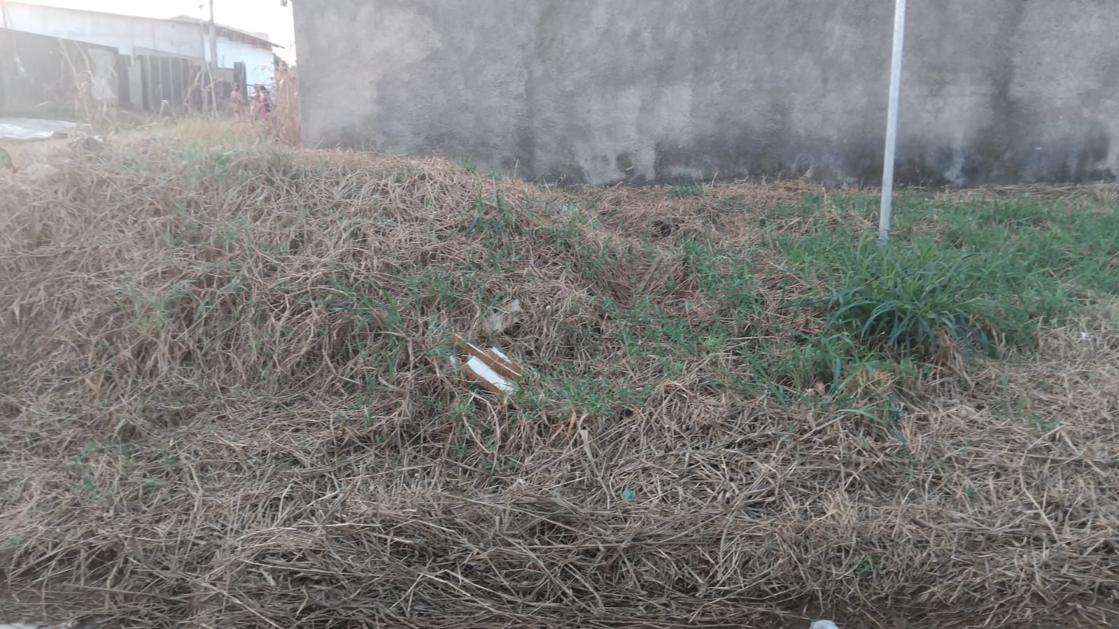 www.deixaeutefalar.com.br Vereador Gedeão Negreiros solicita roçagem urgente em cruzamento crítico no Bairro Novo Horizonte
