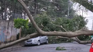 Vendaval atinge São Paulo por mais de 12 horas com rajadas de 98,1 km/h