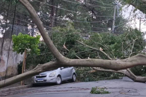 Vendaval atinge São Paulo por mais de 12 horas com rajadas de 98,1 km/h Vendaval atinge São Paulo por mais de 12 horas com rajadas de 98,1 km/h