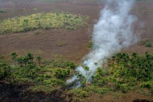 Fazenda avaliada em R$ 22 milhões será destinada à reforma agrária em Rondônia