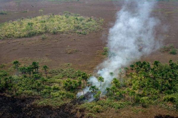 Fazenda avaliada em R$ 22 milhões será destinada à reforma agrária em Rondônia