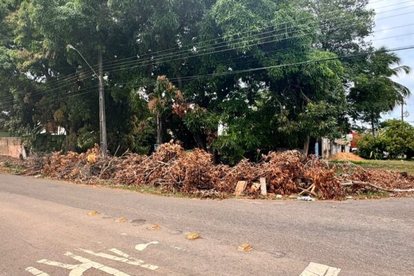 DESCASO: galhos e folhas ocupam esquina da Elias Gorayeb há vários dias