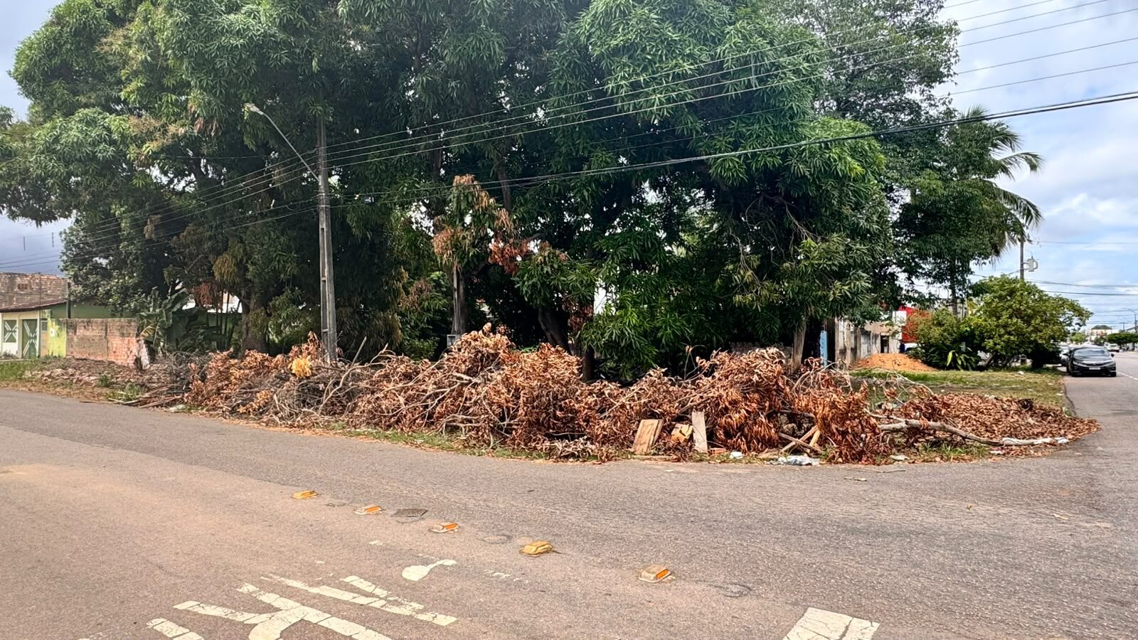 DESCASO: galhos e folhas ocupam esquina da Elias Gorayeb há vários dias