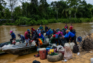 Garimpeiros expulsos da Terra Yanomami migram para o Amapá e avançam sobre a Amazônia preservada