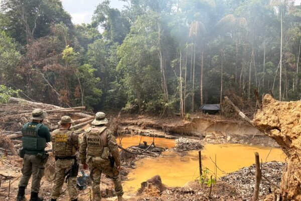 PF e Ibama combatem extração ilegal de minério em terra indígena