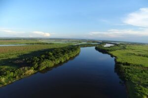 www.deixaeutefalar.com.br Agricultura cresce 582% na Mata Atlântica de MS em 40 anos