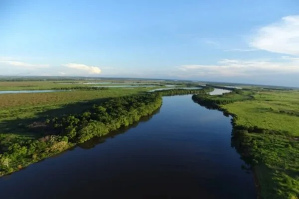 Agricultura cresce 582% na Mata Atlântica de MS em 40 anos