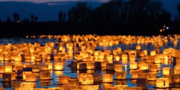 Water Lantern Festival chega ao Jardim Botânico de SP em outubro