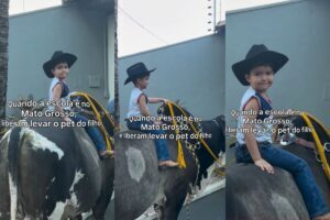 Menino de 3 anos vai a festa escolar montado em boi de 600 kg