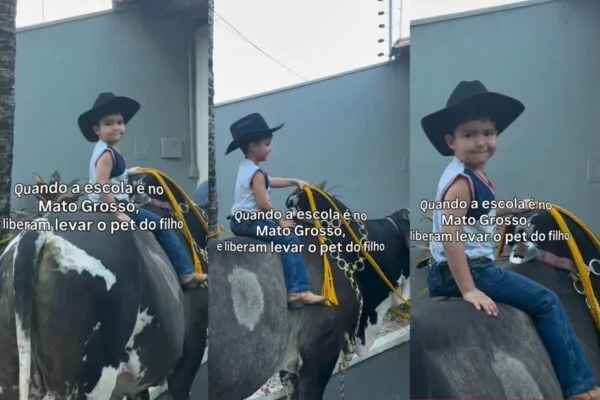 Menino de 3 anos vai a festa escolar montado em boi de 600 kg Menino de 3 anos vai a festa escolar montado em boi de 600 kg