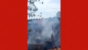 Incêndio em vegetação mobiliza bombeiros na Zona Centro-Sul de Manaus