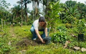 FRAM registra 661 árvores plantadas em dois anos na Amazônia