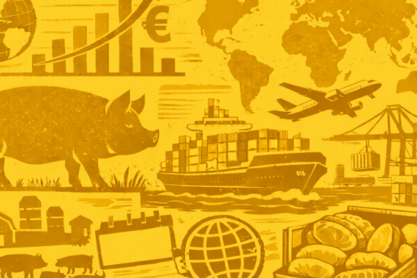 Boa imagem do agro entre mulheres pode impulsionar exportações