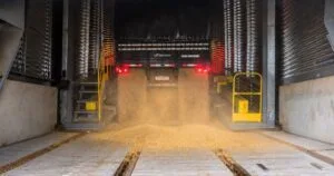 Be8 recebe trigo para nova fábrica de glúten e etanol no RS