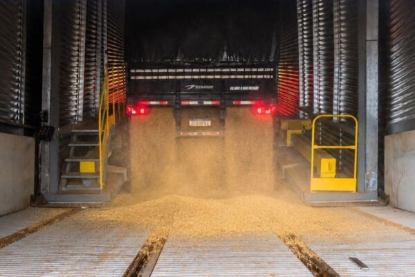Be8 recebe trigo para nova fábrica de glúten e etanol no RS