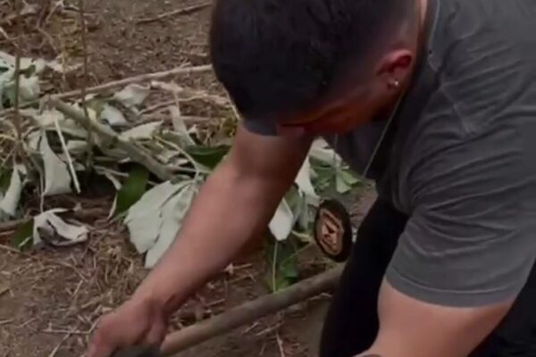 Polícia Civil prende suspeito por tráfico e apreende adolescente em Itapuã do Oeste