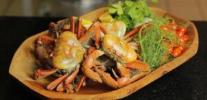 Festival do Pescado da Ceagesp inclui Lagosta Sapateira no cardápio
