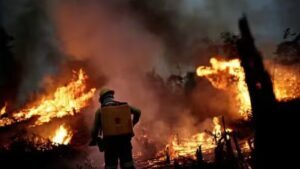 Piauí tem 94 focos de calor em 48h e é 3º estado com mais queimadas