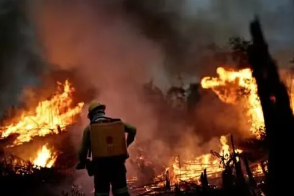 Piauí tem 94 focos de calor em 48h e é 3º estado com mais queimadas