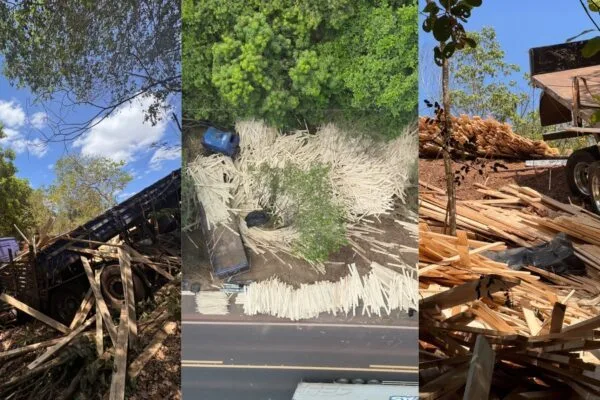 Caminhoneiro morre soterrado por carga de madeira na BR-222 no PI Caminhoneiro morre soterrado por carga de madeira na BR-222 no PI
