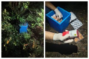 Material radioativo roubado é achado em terreno baldio na Zona Leste de SP