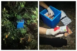 Material radioativo roubado é achado em terreno baldio na Zona Leste de SP Material radioativo roubado é achado em terreno baldio na Zona Leste de SP