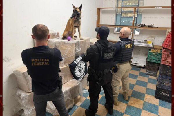 Quase 1 tonelada de maconha é apreendida em caminhão no Paraná