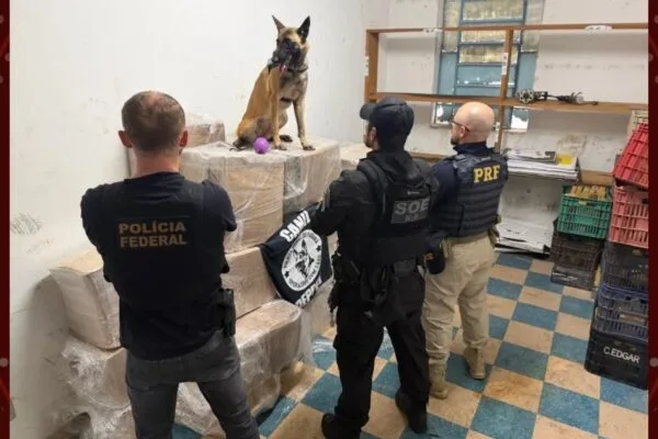 Quase 1 tonelada de maconha é apreendida em caminhão no Paraná