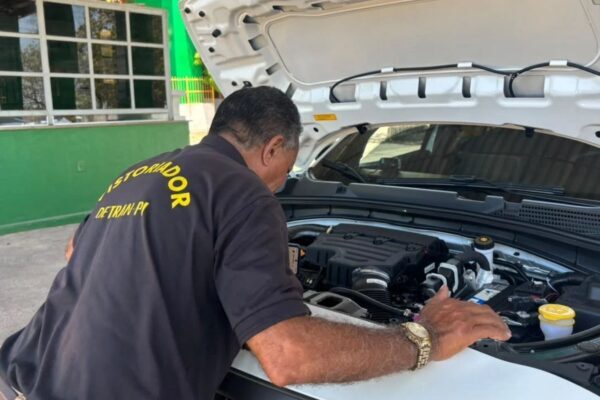 Detran-PI permite 2ª via do CRV sem levar veículo ao estado de origem Detran-PI permite 2ª via do CRV sem levar veículo ao estado de origem