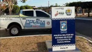 Homem morre ao ser atingido por palmeira durante corte no Piauí Homem morre ao ser atingido por palmeira durante corte no Piauí