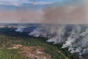 Fumaça encobre Manaus e combate a queimadas poupa mandantes