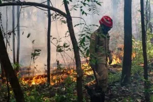 AM pediu ajuda federal contra queimadas e depois dispensou equipe