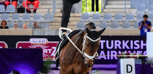 Brazil Vaulting Week reúne elite do volteio equestre em SP
